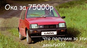 Едем в Белгород смотреть Оку за 75000р