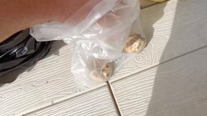 Что купила на ярмарке.Псковская жизнь.