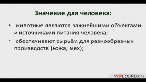 Значение животных