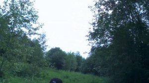 Вездеход каракат Тайга 4*4 переломка.