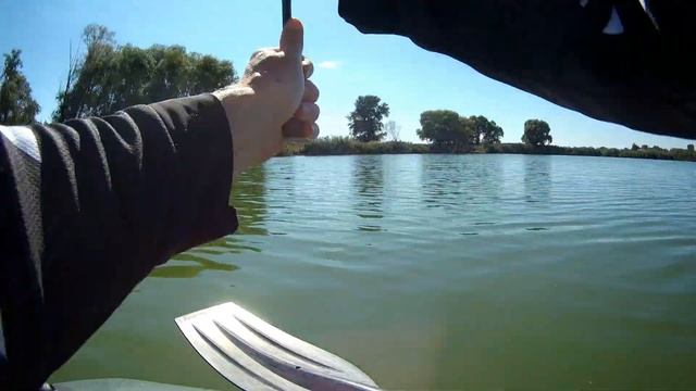 Как поймать МНОГО СУДАКА летом в ЖАРУ. САМАЯ уловистая ПРОВОДКА и результативная ТАКТИКА. смотреть онлайн