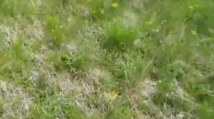 Успокоил жену друга/Сладкая любовь