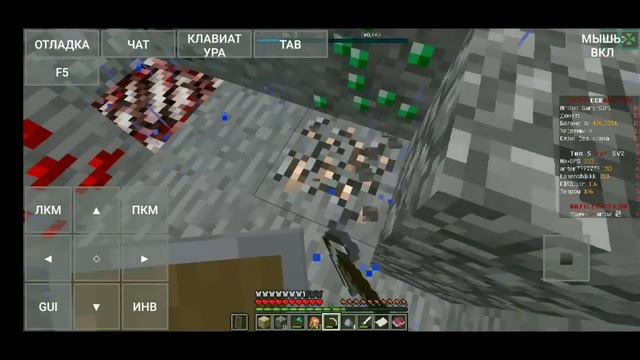 Играю в Minecraft Java Edition на сервере.