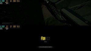 How to Play The Forest Multiplayer Splitscreen on a Single PC