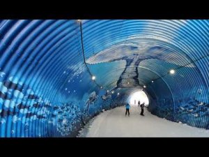 Трасса Б-52. Роза Хутор.  29 Января 2023 г  HD 1080p