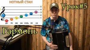 Знакомство с нотной грамотой. Разбор пьесы "Частушка" на гармони. Урок №5 ШКОЛА ГАРМОНИ С НУЛЯ