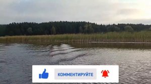 Рыбалка Новосибирское водохранилище Усть-Алеус