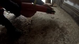 HILTI  DX 2