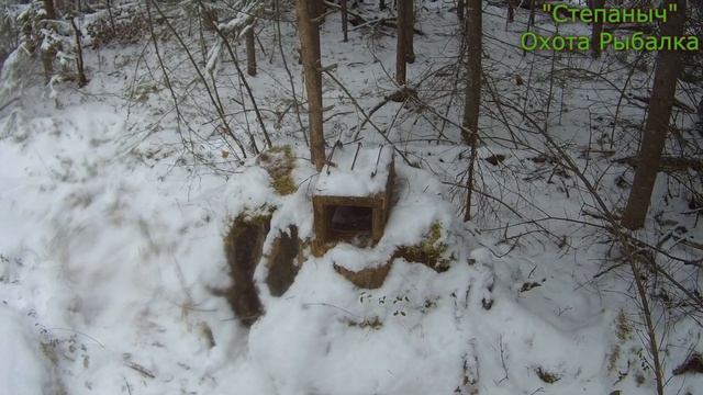 3 заезд Начало Здравствуй Зимовьё 04 11 22 смотреть онлайн