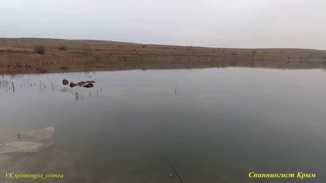 Мормо - попло рыбалка. Сезон 2022 открыт!!!