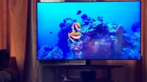 Телевизор Samsung UE50AU7570U