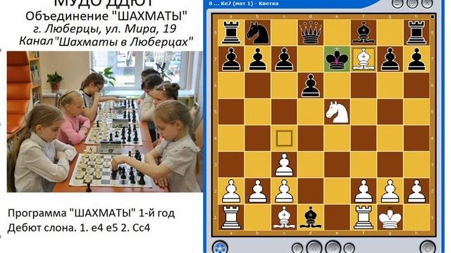 Дебют слона 13 05 2020 смотреть онлайн