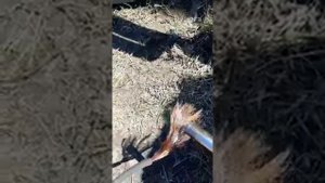 Алюминиевая медь, подделка сварочных кабелей