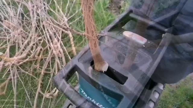 Измельчаем ветки после обрезки деревьев. смотреть онлайн