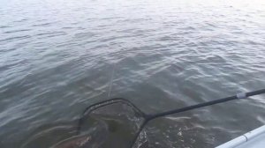 Спиннинг JS Company NIXX Maverick 802 MH