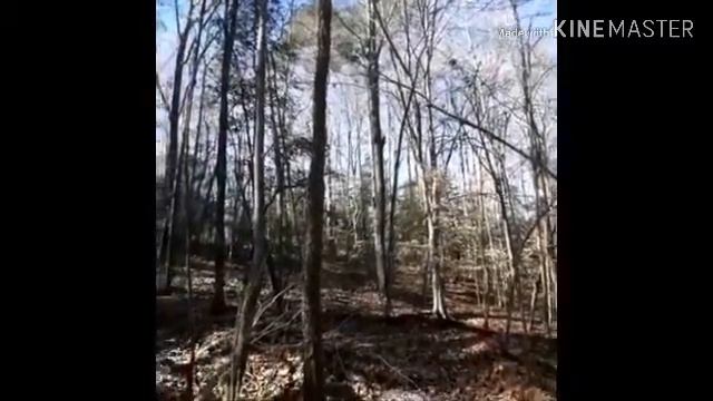 An interview with Robert Frost