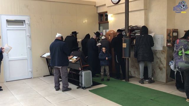 Хасиди відзначають день народження Рабі Нахмана. смотреть онлайн