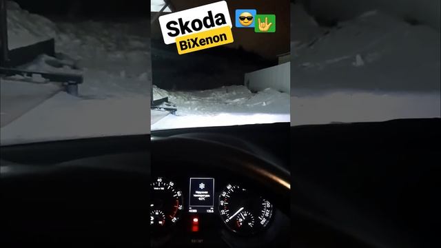 Skoda: BiXenon. Настройка (2022) смотреть онлайн