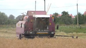 вышли два комбайна полесье GS 10 и GS 12. убирать черное золото 2020