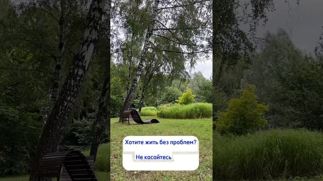 Жить без проблем