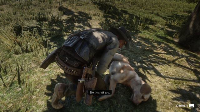 RDR2 - Don't tell me Rockstar didn't do it on purpose смотреть онлайн