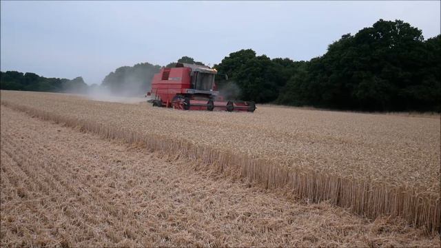 Harvest 2022   MF 40RS with sound and introduction