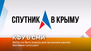 Могут ли быть опасны для организма ранние бахчевые культуры?