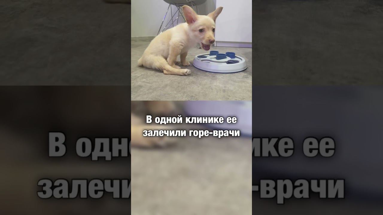 «Безнадёжный» инвалид ПОБЕЖАЛ | Злата