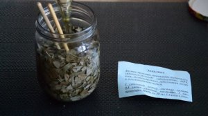 Эвкалиптовое масло в домашних условиях / Краткие рецепты / Slavic Secrets