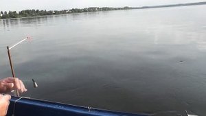 Рыбалка на кольцо на Волге в Ярославле