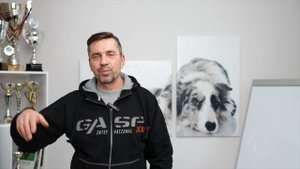 Бесконфликтная дрессировка  Алекс Вяткин