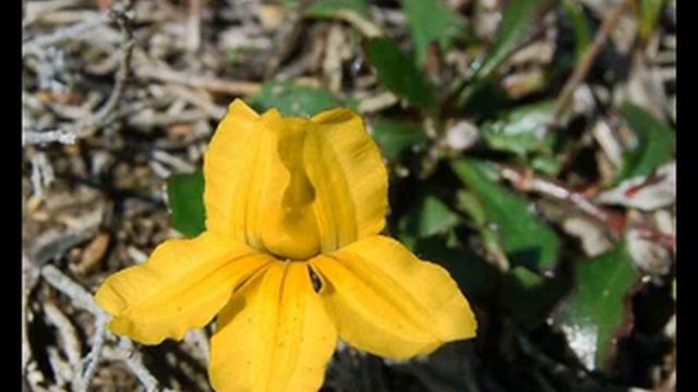 орган система органов полости тела смотреть онлайн