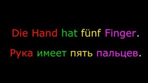 5. Тема: Части тела. Язык: Немецкий. Уровень А0.