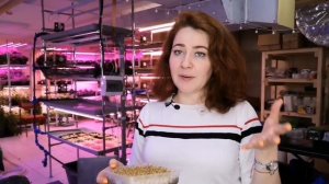 Руккола #микрозелень . Посадка. Выращивание. Сбор урожая. #микрогрин #семенаильинские #гидропоника