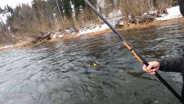 Рыболовное путешествие в Осеннюю Сибирскую Тайгу/Испытания нового материала для мушек/Активный клёв смотреть онлайн