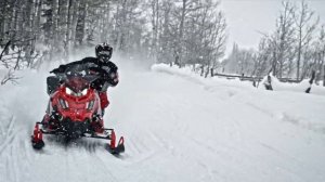 POLARIS Snowmobile 2016 -   Switchback Longform