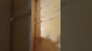 Плавающий каркас для парной в деревянном доме (Пошаговая инструкция) #баня #сауна #сруб