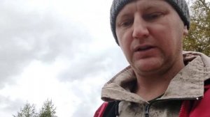 Сентябрь собираем мордовник шароголовый.