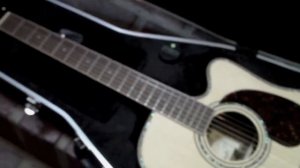 Hohner CD65 vs Zager EZ-Play ZAD900CE GUITAR SHOOTOUT