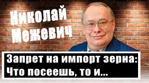 Николай Межевич: зерновая сделка, запрет на ввоз украинского зерна, отказ ФРГ от атомной энергетики