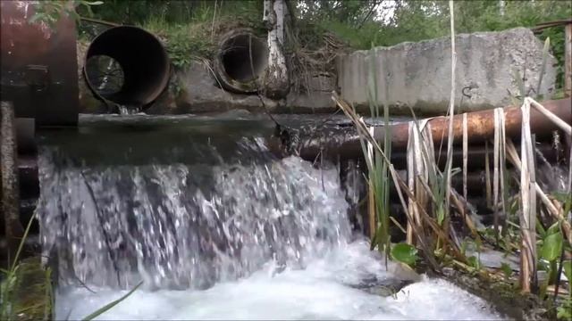 Прогулка по лесу. Природа Урала смотреть онлайн