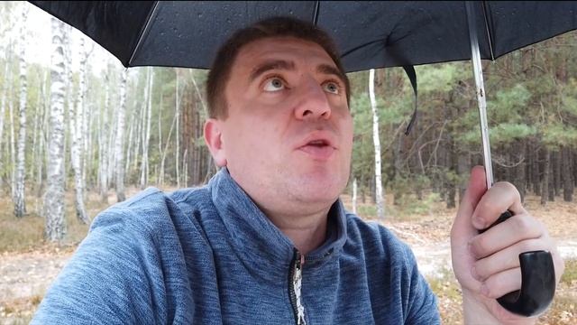 Пикник на обочине, что приготовить на пикник с друзьями смотреть онлайн