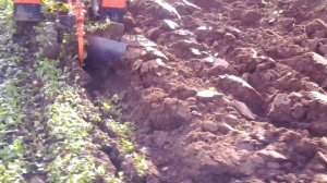 пахота горчицы тяжелым мотоблоком