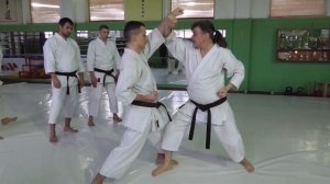 Блоки в карате-до ФУДОКАН | Принципы правильного блокирования | Как научиться бить блоком