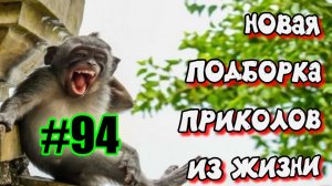 смешные видео #94 / подборка приколов до слёз / лучшие приколы