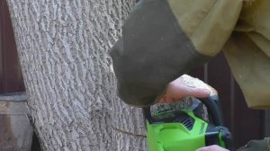 Бензина Нет, Но Есть Аккумуляторная Цепная Пила GREENWORKS GD40CS18