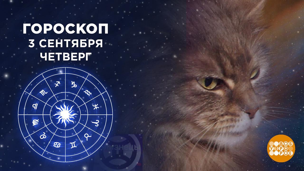 Гороскоп на 3 сентября. Доброе утро. Фрагмент выпуска от 03.09.2020