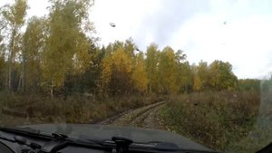 По лесным дорогам на Ниве #1
