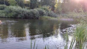 Река по колено,куда уходит вода?!😱 Орловские плёсы. Съездили отдохнуть и освежиться.