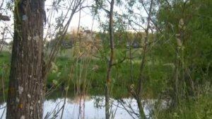 Презентация Краснозоренского района видео.mp4